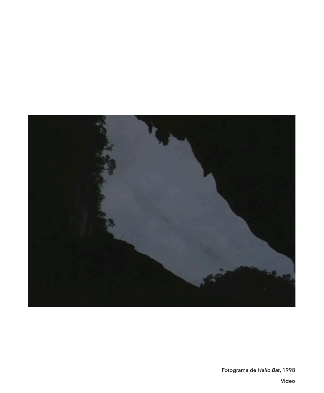 Jungle 35 